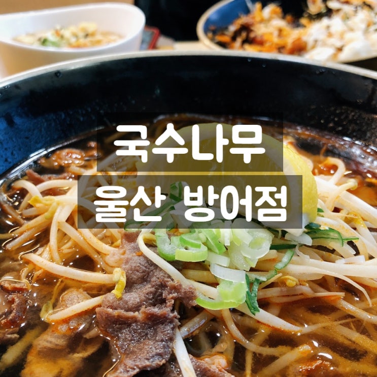  울산 방어동 국수나무 (따뜻한 쌀국수)