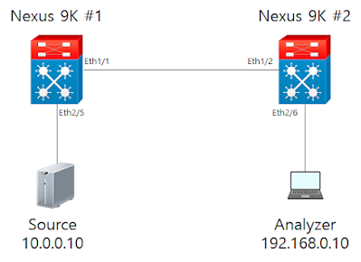 ERSAPN Configuration on CISCO Nexus