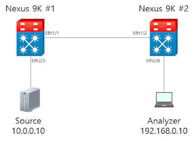  ERSAPN Configuration on CISCO Nexus