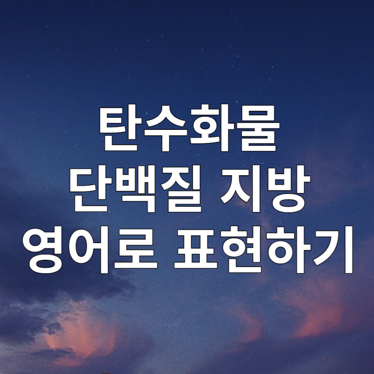  탄수화물 단백질 지방 영어로 표현하기