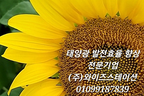 필름와이즈 이미지