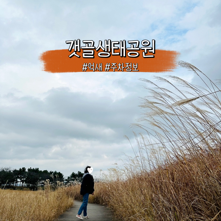  시흥 갯골생태공원 단풍 지고 가득한 억새와 주차 요금정보