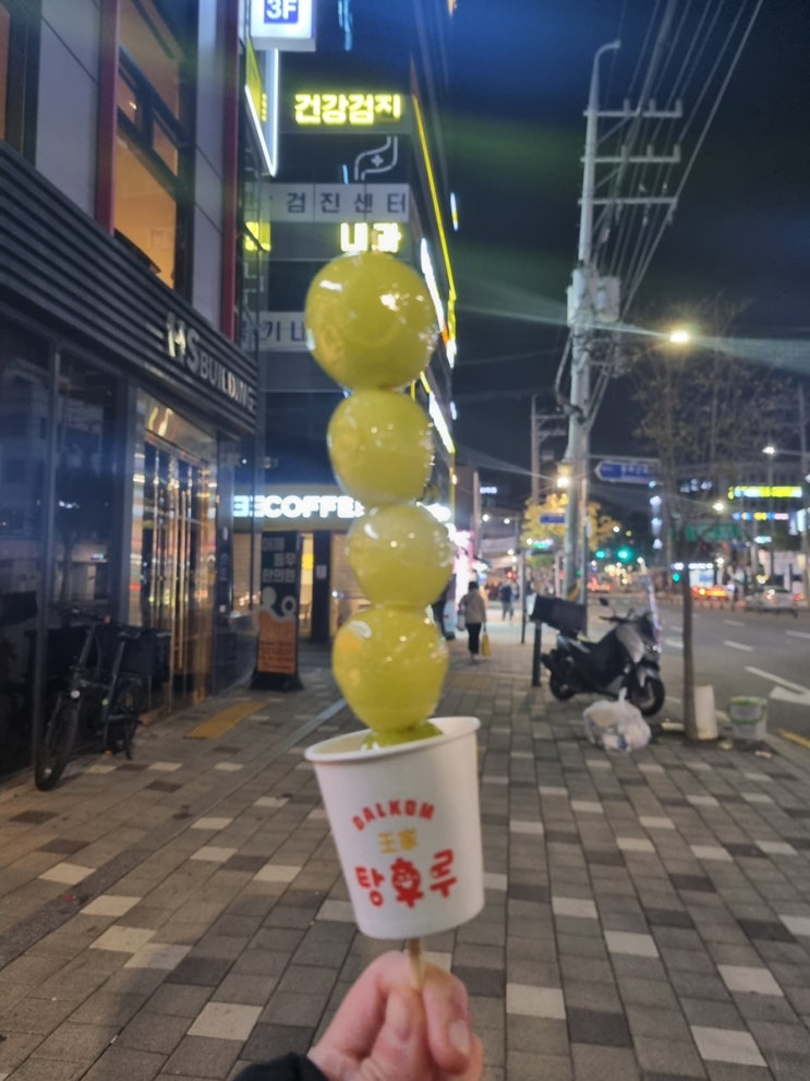  탕후루 모음 / 왕가탕후루, 판다탕후루