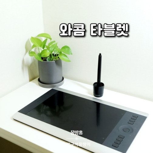  와콤 타블렛 인튜어스 프로 중형 PTH-651 (디지털 드로잉 장비)