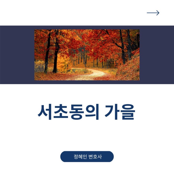  서초동의 가을