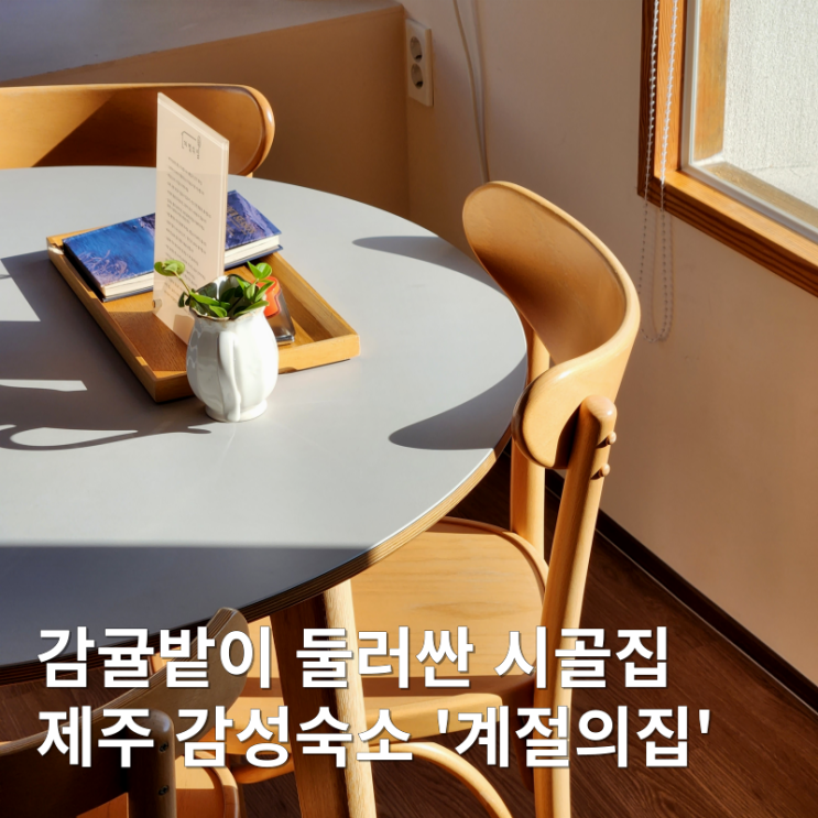  제주 서귀포 자쿠지 감성 숙소 계절의집 : 감귤밭에 둘러싸인 독채