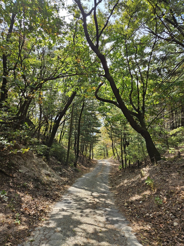 K국장 반등 시작!! 주도주 싸움~~