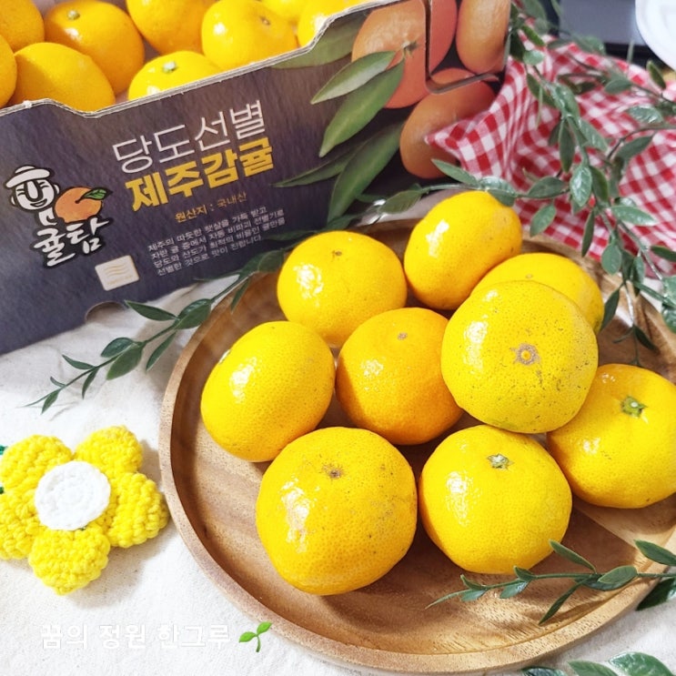  맛있는 당도선별 제주감귤 귤탐 내돈내산 솔직후기 귤 1개 칼로리 보관법