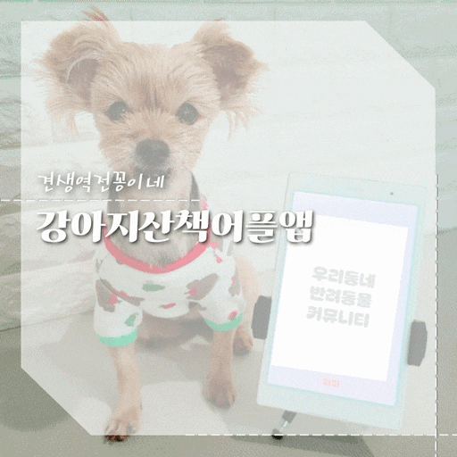  강아지 산책 어플 피피, 산책시간 즐거워지는 반려동물 앱