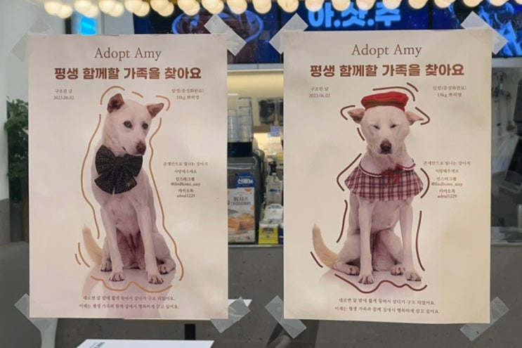  [빽다방 구의중앙점] 신메뉴 황치즈 크럼블 머핀, 사라다빵 리뷰