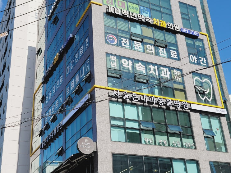  응암동야간치과 백년약속치과의원 국가건강검진