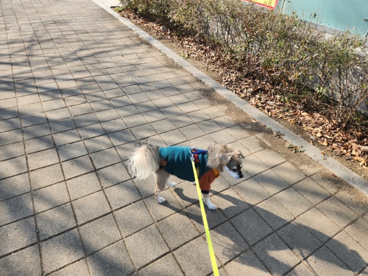  인사