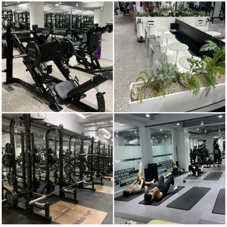 강남24시헬스 역삼역헬스 재등록율 보유회원 1등 화이트짐 역삼점