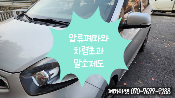  압류폐차와 차령초과말소제도