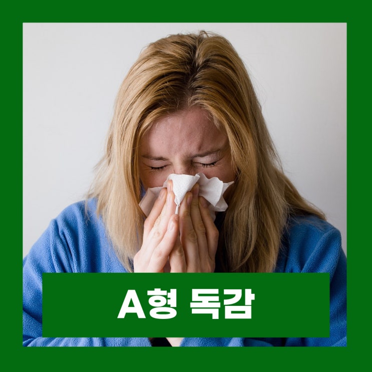  A형 독감 증상 전염 격리 기간 의무