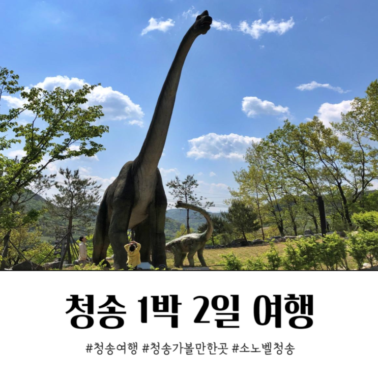  아이와 1박 2일 청송여행 숙소 소노벨 공룡발자국 지질공원 탐방