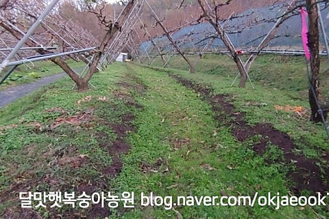 농원유기질퇴비 이미지