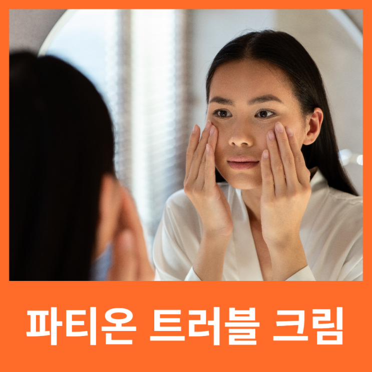  피지조절제 대신 파티온 노스카나인 트러블 크림 성분별 효과 총 정리