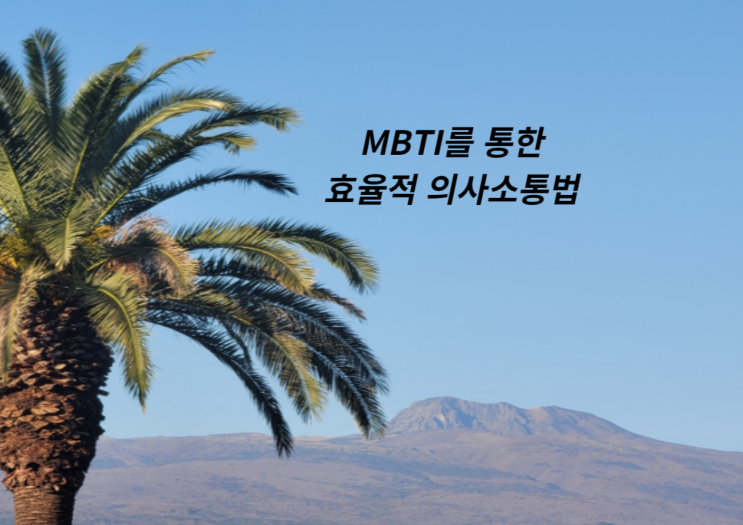 MBTI 소통강의 - 농림축산검역본부 제주지역본부 워크숍