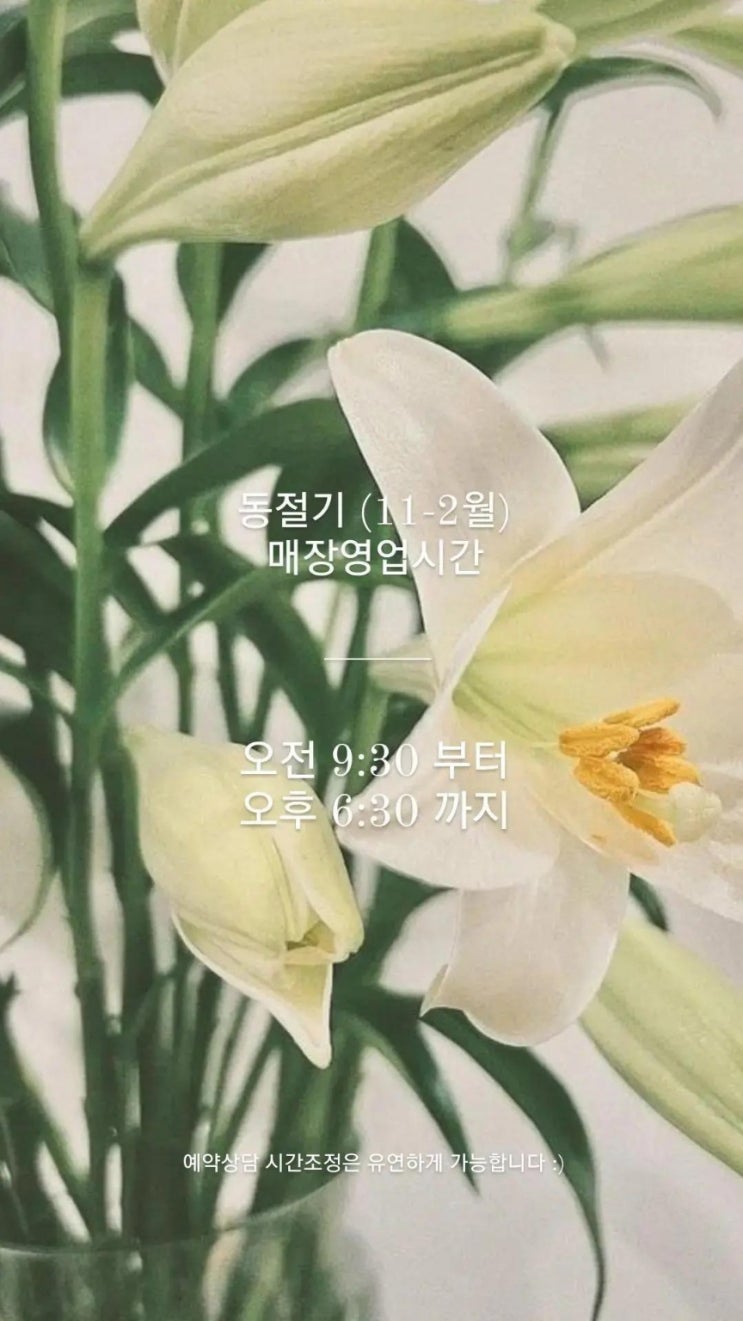  [부엉이조명] 동절기 매장영업시간 (11~2월)