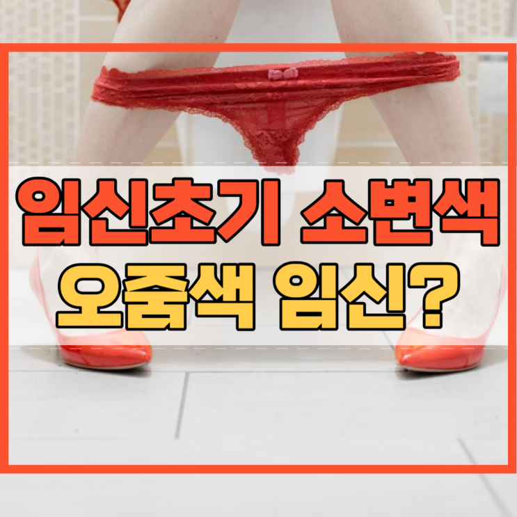  임신초기 소변색 임신 오줌색 변화로 알 수 있을까?
