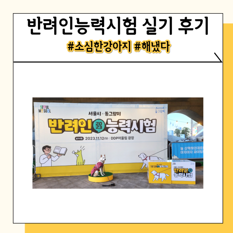 겁많은 강아지의 2023 반려인 능력시험 실기 후기 겁많은 강아지의 2023 반려인 능력시험 실기 후기