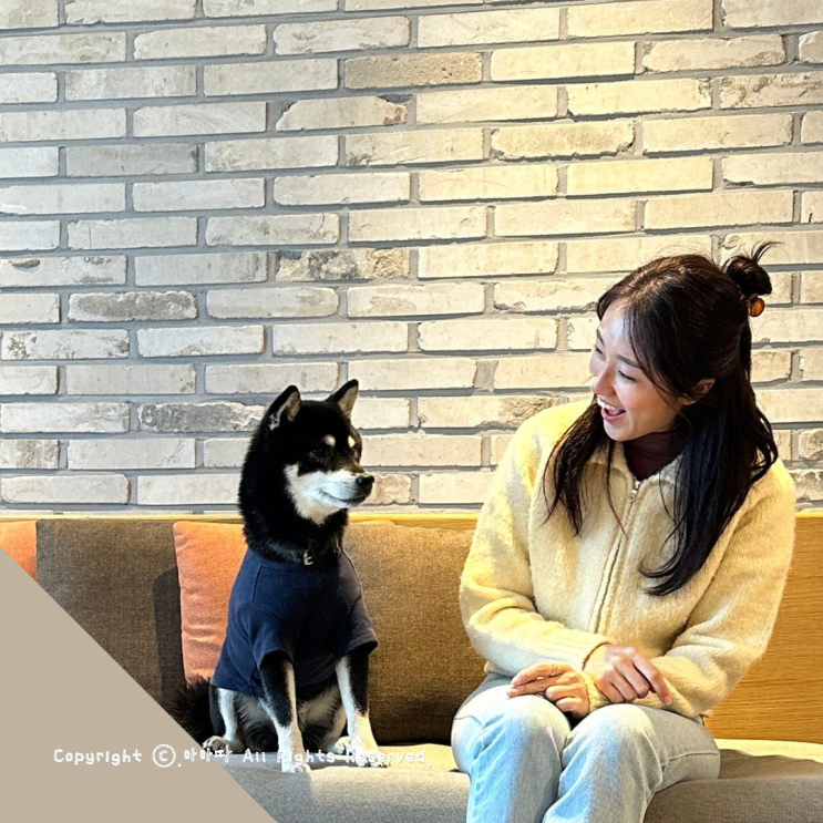  인천관광공사 애견동반 인천힐링여행 영종도 더위크앤리조트 호캉스