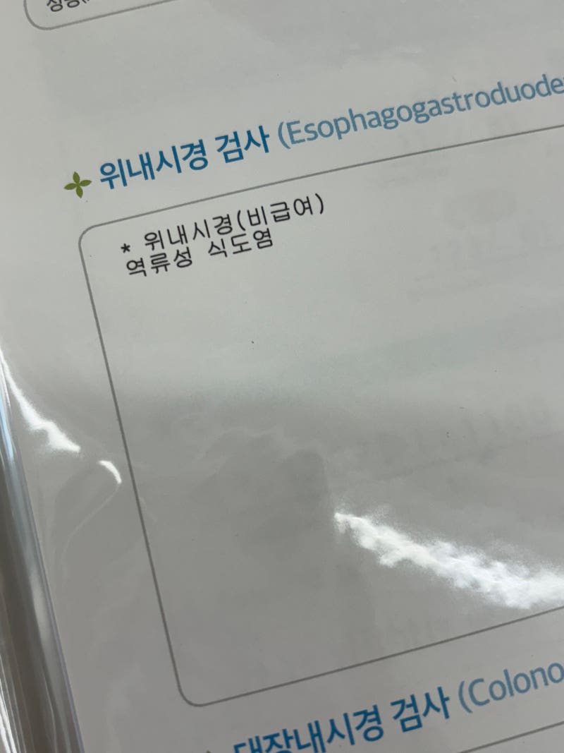 역류성 식도염 증상 및 좋은음식 원인 치료 (약/영양제)