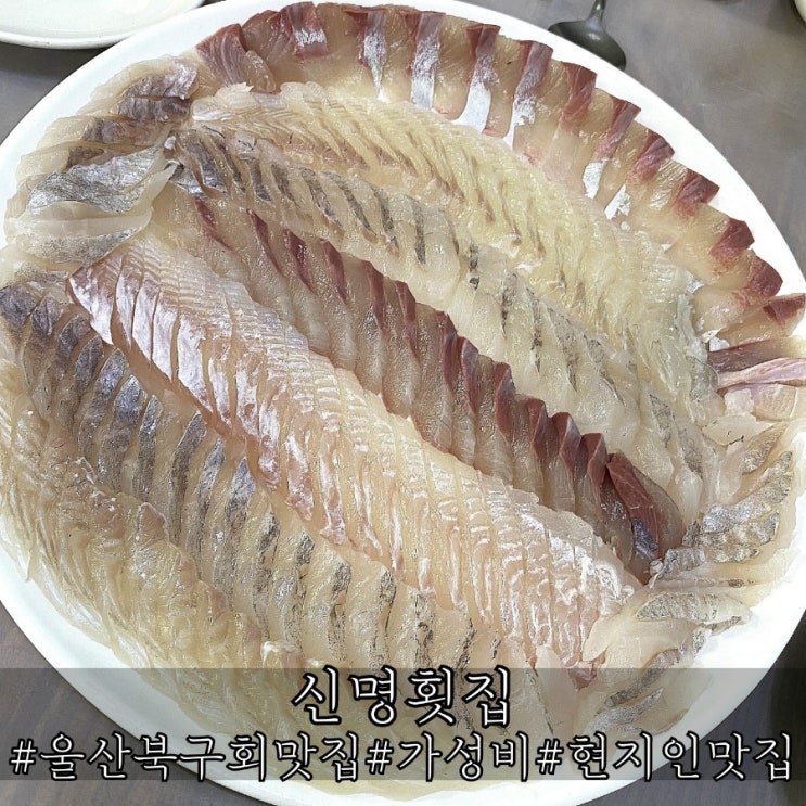  울산 북구 회 현지인 맛집 신명횟집 재방문 후기