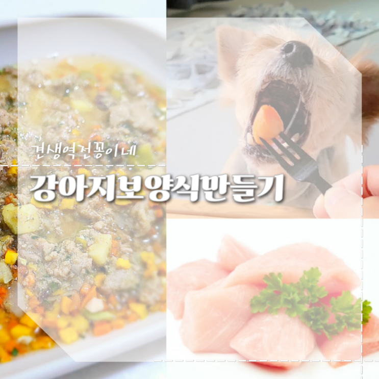  강아지보양식 만들기, 노견영양식 추천 강아지 닭가슴살 황태 화식