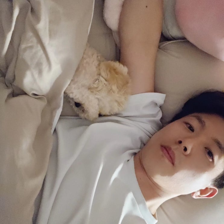 강아지가 있어서 좋은점 강아지가 있어서 좋은점