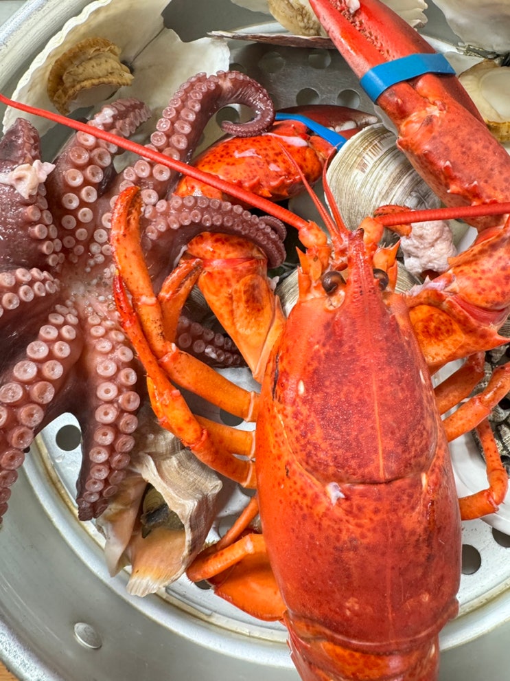  인천 연안부두 횟집 맛집 광희해물촌 60첩 랍스터와 문어가 있는 애견동반식당