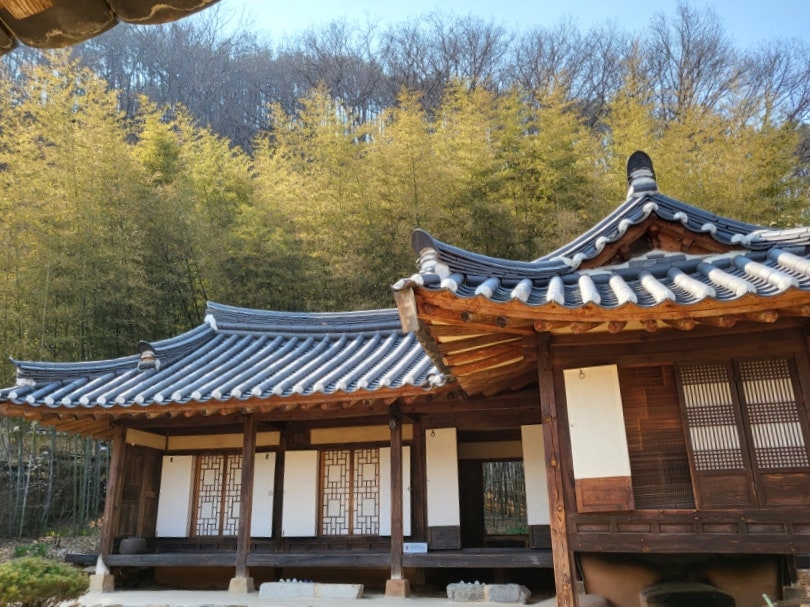 노래호 사진 6