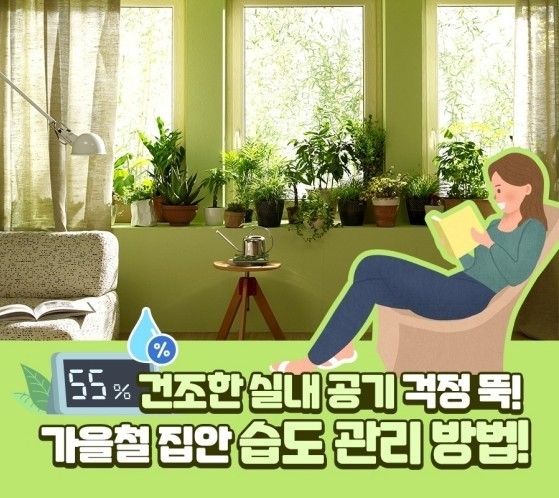 건조한 실내공기 집안 습도 관리방법! 건조한 실내공기 집안 습도 관리방법!