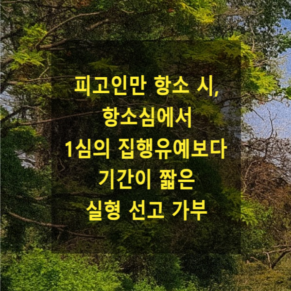  형사 재판에서 피고인만 항소 시, 항소심에서 1심의 집행유예보다 기간이 짧은 실형을 선고할 수 있는지