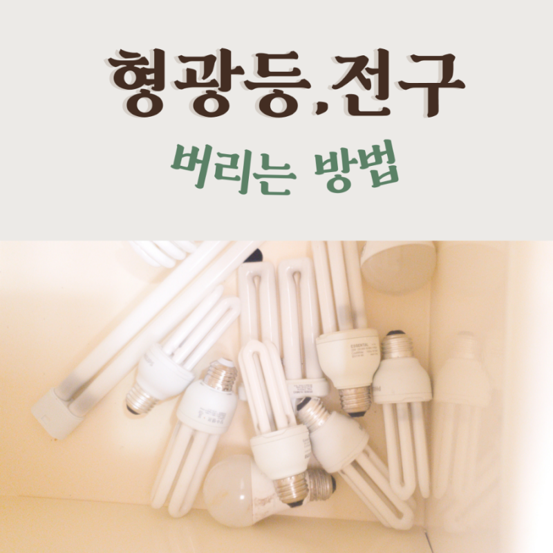 전구 버리는법 형광등 분리수거하기