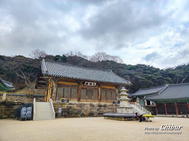 충남 예산 가볼만한곳 여행 예산 덕숭산 수덕사