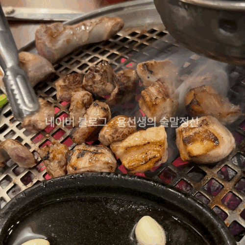  [대전 둔산동 고깃집]동래정 현지인 인증 신상 가브리살 맛집 (대전시청역 붕어빵 위치)