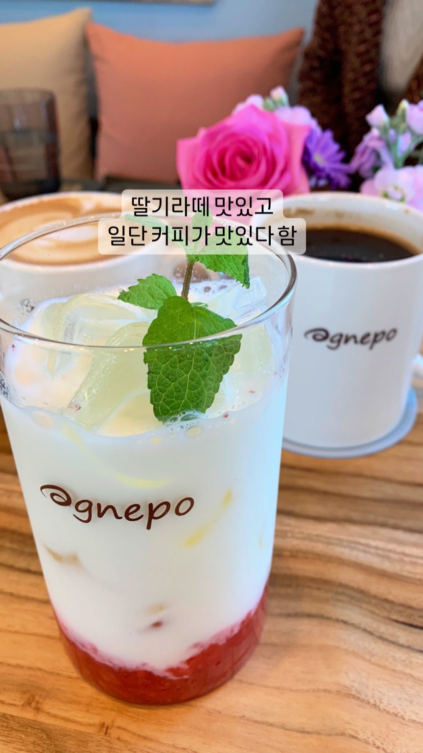 아그네포 사진 5