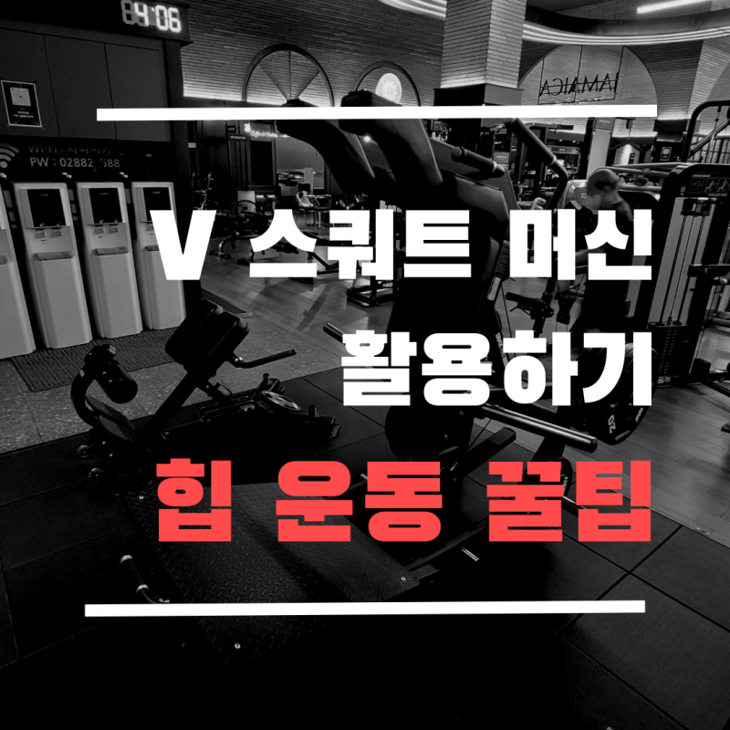 신림 헬스장 V스쿼트 머신 활용 꿀팁
