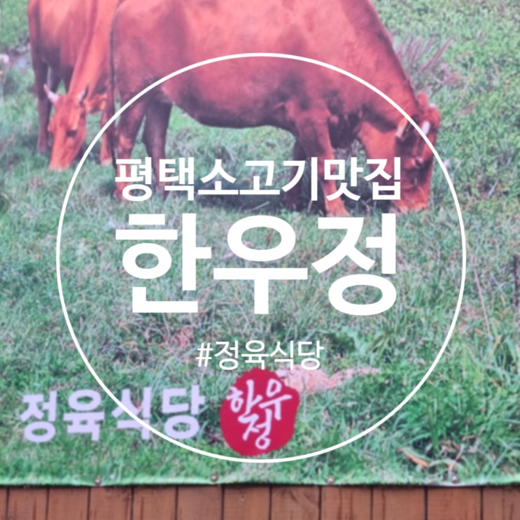  [평택]소고기 정육식당 추천 '한우정' 평택한우맛집