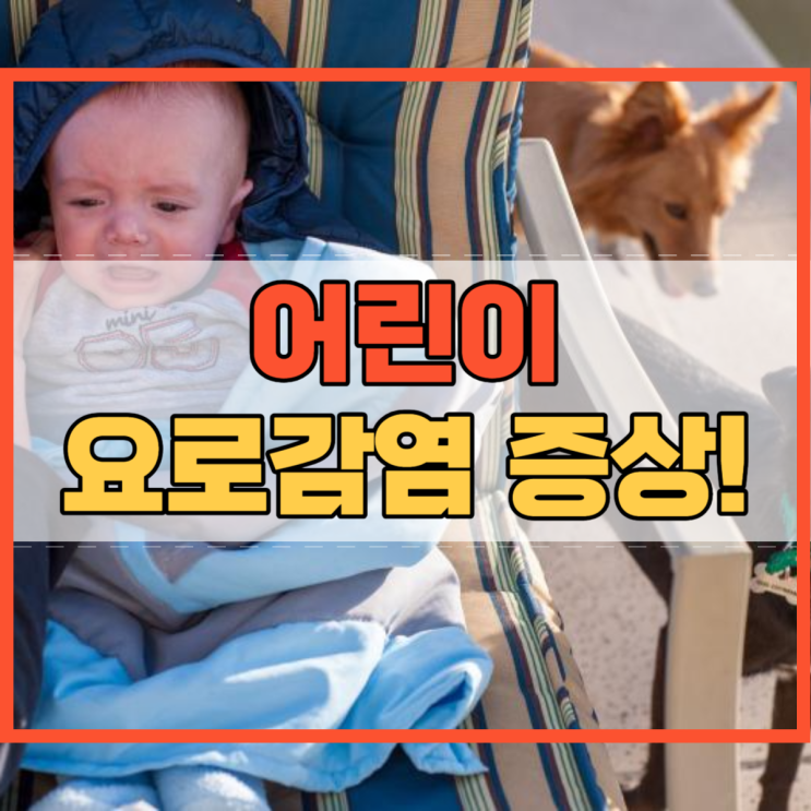  어린이 요로감염 증상 여아 돌아기 아기 유아는 어떨까?