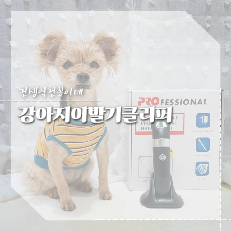 강아지 클리퍼, 미용후 스트레스 없는 저소음 애견바리깡 셀프미용 후기