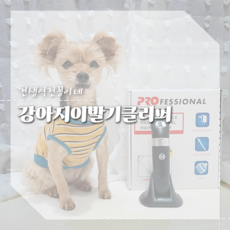  강아지 클리퍼, 미용후 스트레스 없는 저소음 애견바리깡 셀프미용 후기