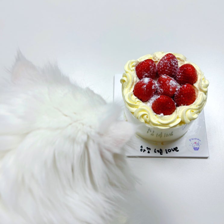 광주 수완지구 딸기케이크 피쿠포쿠 레터링케이크