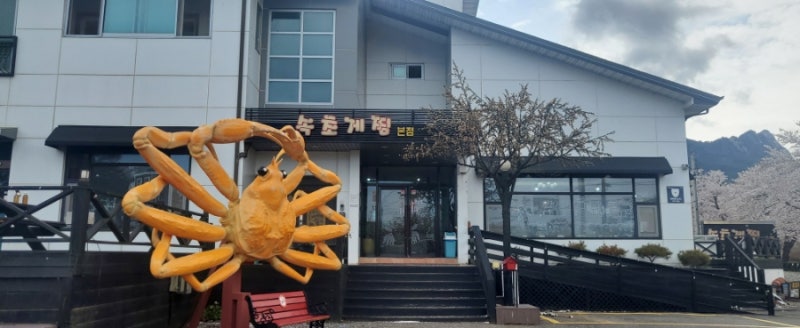 속초 대게 맛집 속초게찜 본점