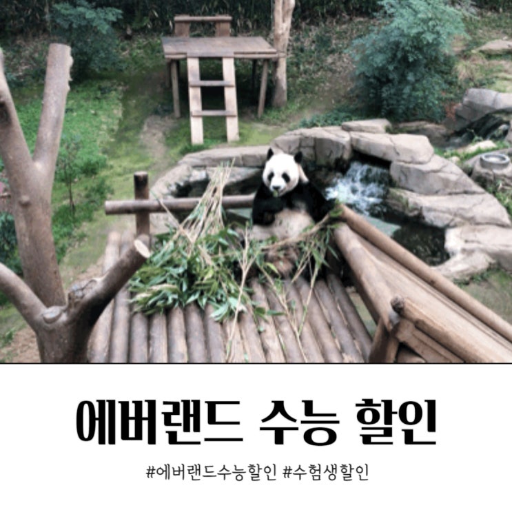  에버랜드 수능할인 종일이용권 수험생 증빙서류