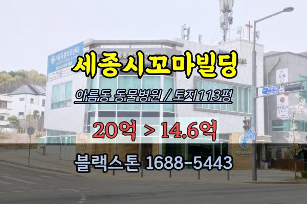  세종시 동물병원 경매 아름동 꼬마빌딩 15억