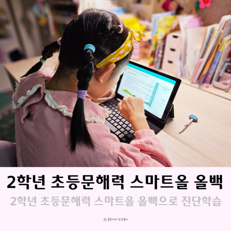 2학년 초등문해력 스마트올 올백으로 진단하고 학습해요 2학년 초등문해력 스마트올 올백으로 진단하고 학습해요