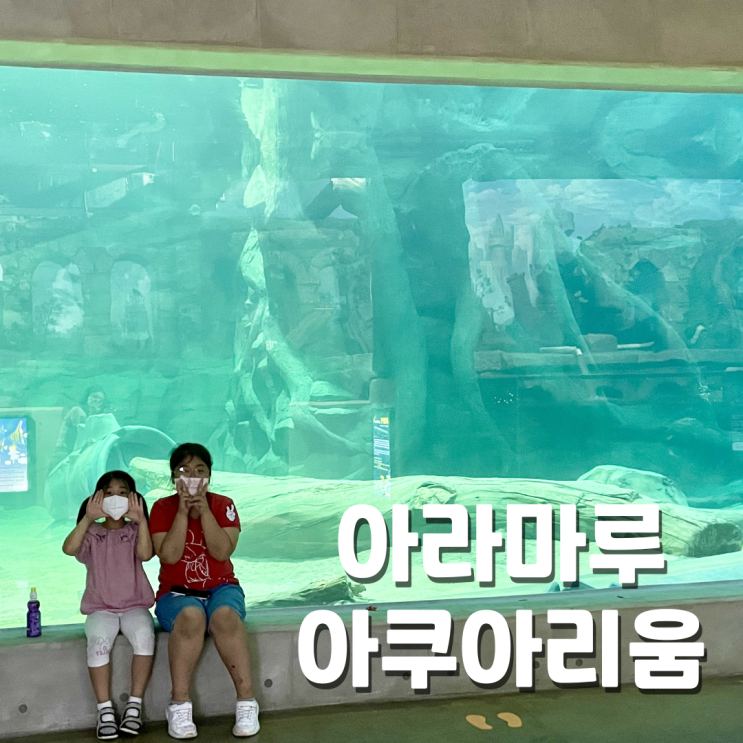  사천 삼천포 아쿠아리움 아라마루 아이와 갈만한 곳 (예매 가격 할인)